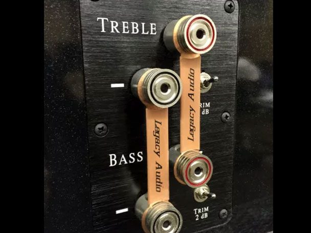 Classic HD Bi-amp and Bi-Wire ready rear plate with tonal options.