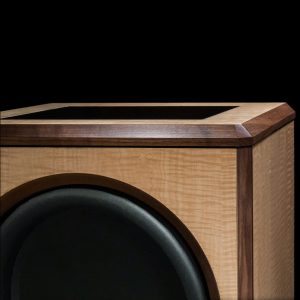 Legacy Goliath XD Subwoofer - high output Sub for home theaters and studios - Top detail
