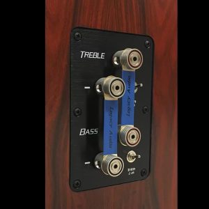 Legacy Audio Passive Floor standing tower speakers - Bi-Amp Back Panel