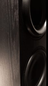 Outkast Subwoofer by Legacy Audio - Close