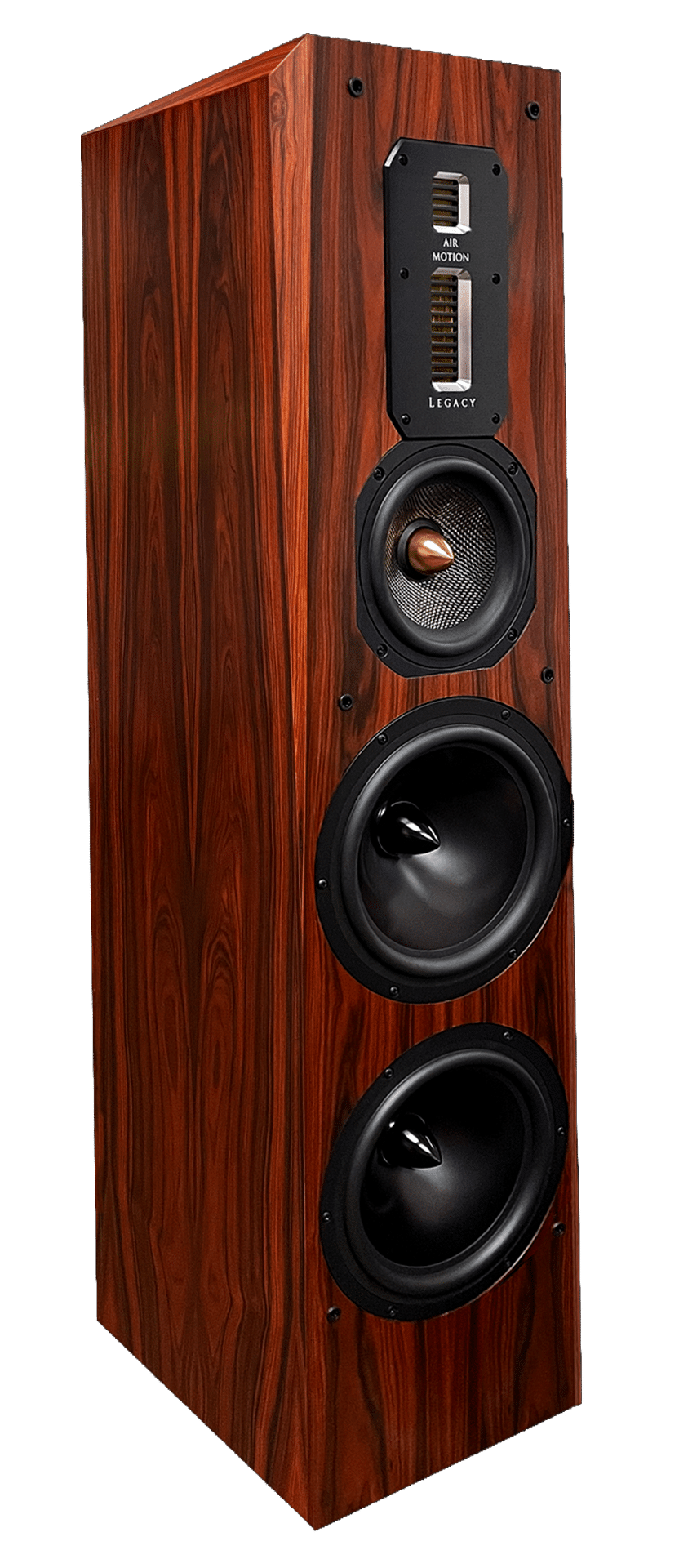 Signature tower Speaker in Rosewood - Hero